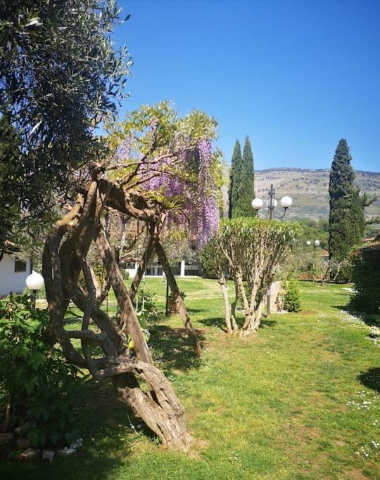 Villetta Blue Garden Sonnino Kültér fotó