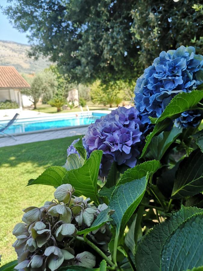 Villetta Blue Garden Sonnino Kültér fotó