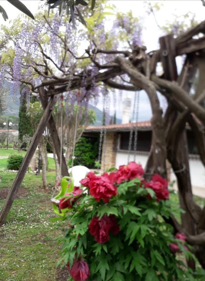 Villetta Blue Garden Sonnino Kültér fotó