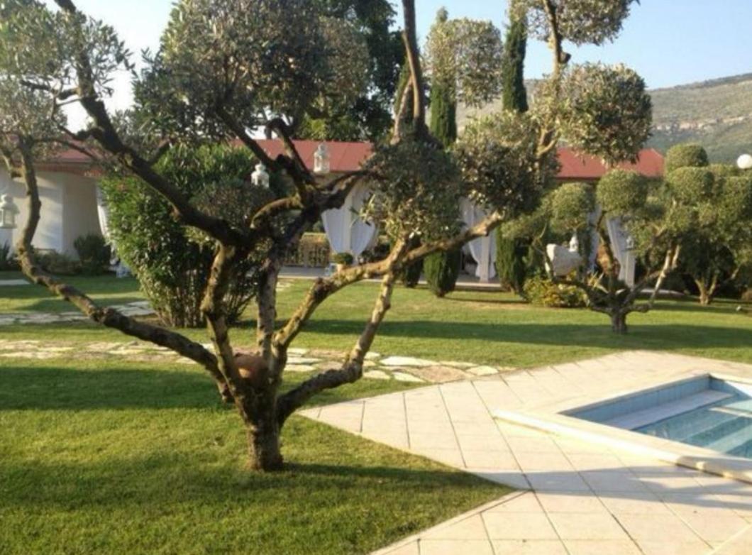 Villetta Blue Garden Sonnino Kültér fotó